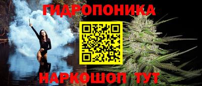 гашик Обь