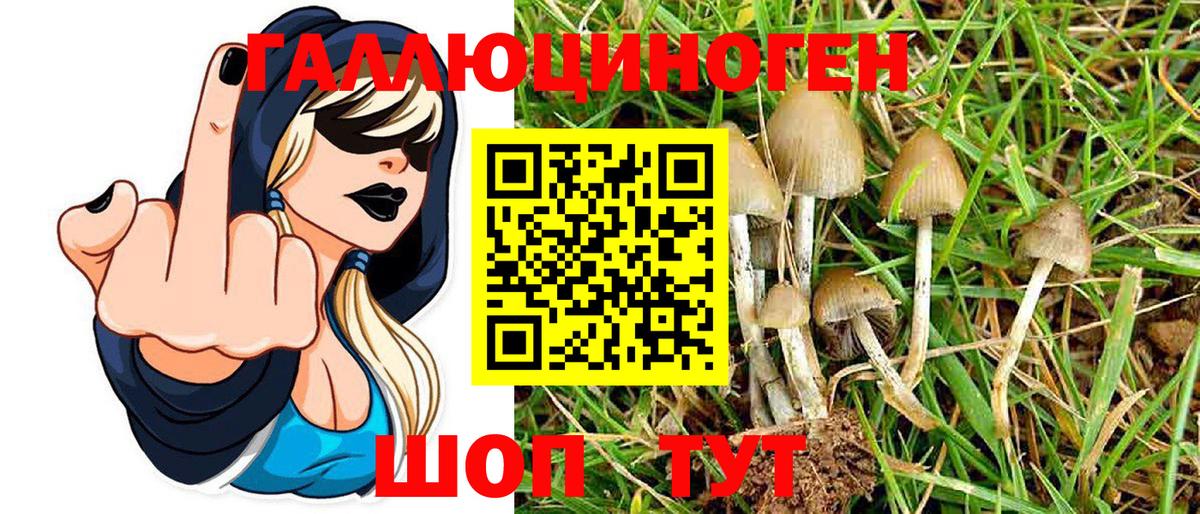 Псилоцибиновые грибы Cubensis Шали